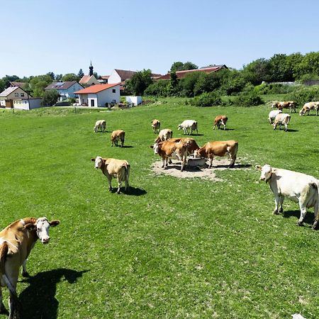 Apartamento Wo Sich Kuh, Fuchs Und Hase Gute Nacht Sagen Wolfsegg Exterior foto