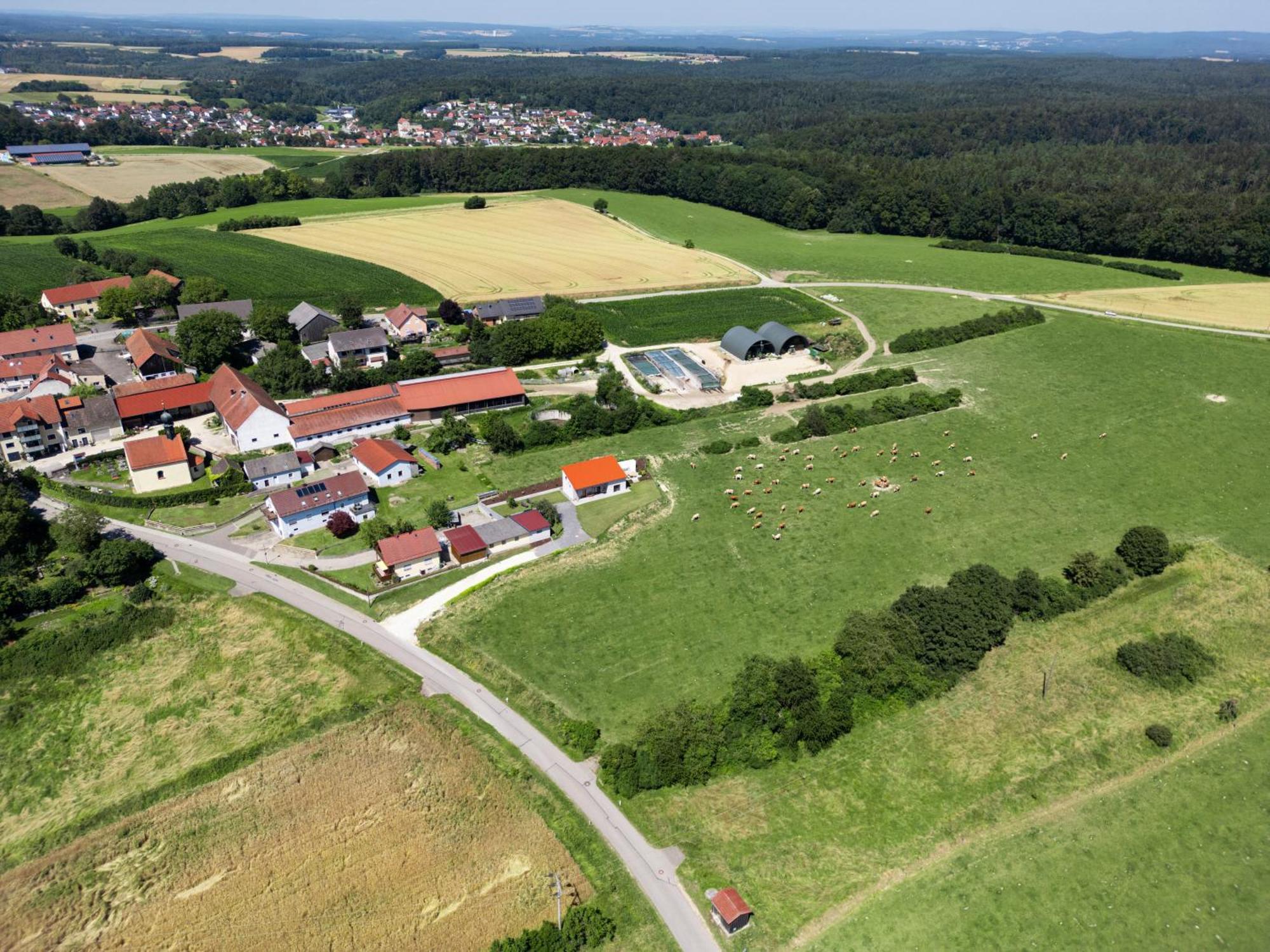 Apartamento Wo Sich Kuh, Fuchs Und Hase Gute Nacht Sagen Wolfsegg Exterior foto